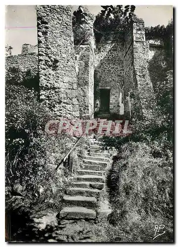 Cartes postales moderne Chevreuse la Madeleine Escalier du Chemin des Remparts