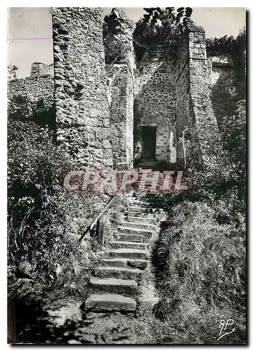 Moderne Karte Chevreuse la Madeleine Escalier du Chemin des Remparts