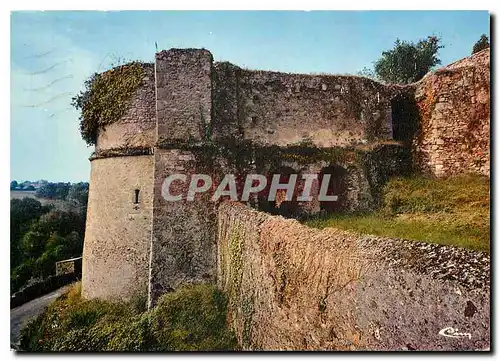 Cartes postales moderne Argenton Chateau D S Les Vestiges du Chateau