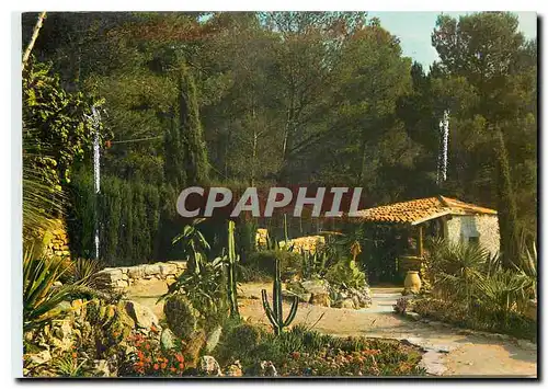 Cartes postales moderne Jardin Exotique Sanary Bandol Un coin de rocailles