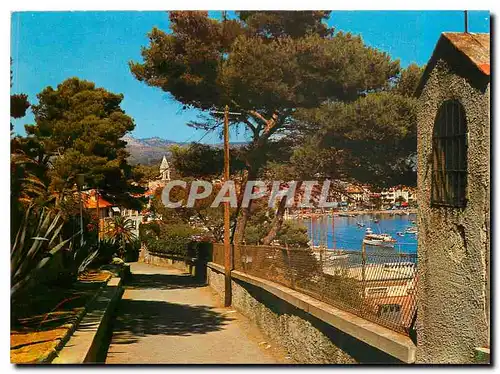 Cartes postales moderne Lumiere et Beaute de la Cote d'Azur Sanary sur Mer Le chemin de l'Oratoire