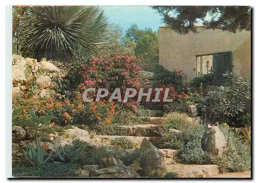 Cartes postales moderne Jardin Exotique & Zoo Sanary Bandol L'Escalier fleuri