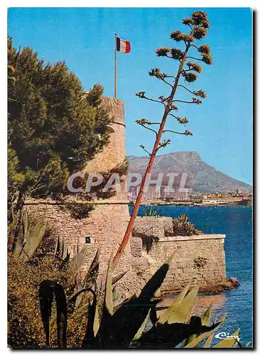 Moderne Karte La Seyne sur Mer Tamaris Var Musee naval de Fort Balaguier Jardin exotique et vue sur Toulon