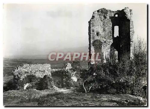 Cartes postales moderne La Capitale Historique des Maures Grimaud Var Ruines du Chateau Feodal Dans le fond le Baie de S