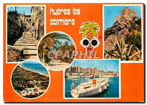 Cartes postales moderne Hyeres les Palmiers Var