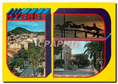 Cartes postales moderne Au Soleil de la Cote d'Azur Souvenir de Hyeres les Palmiers