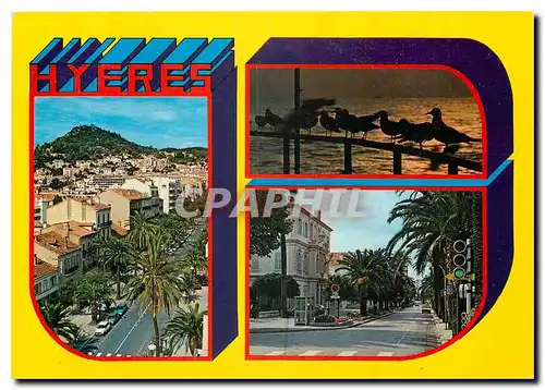 Moderne Karte Au Soleil de la Cote d'Azur Souvenir de Hyeres les Palmiers