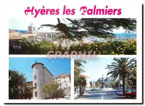 Cartes postales moderne Souvenir de Hyeres les Palmiers