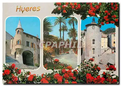 Cartes postales moderne Cote Varoise Hyeres les Palmiers