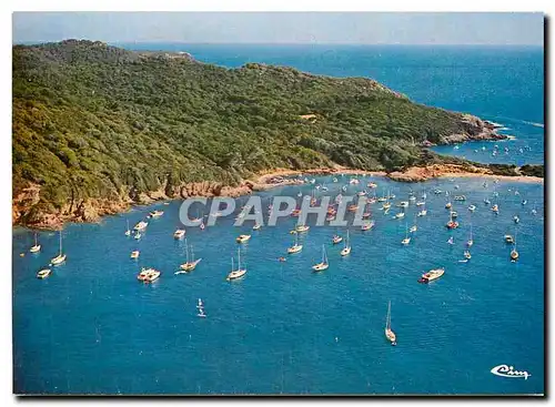 Cartes postales moderne Ile de Porquerolles Var La Perle des Ile d'Or Le Grand Langoustier Vue aerienne