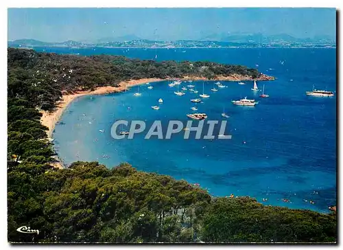 Cartes postales moderne Cote d'Azur France French Riviera Ile de Porquerolles La Perle des Iles d'Or Vue aerienne La Pin