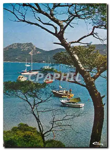 Cartes postales moderne Porquerolles Var La Perle des Iles d'Or Les Plaisanciers