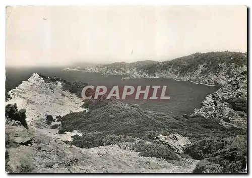 Cartes postales moderne Ile de Porquerolles Les falaises du Cap d'Arme jusqu'au Langoustier