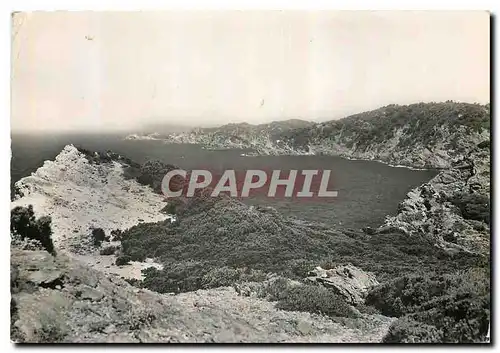 Moderne Karte Ile de Porquerolles Les falaises du Cap d'Arme jusqu'au Langoustier