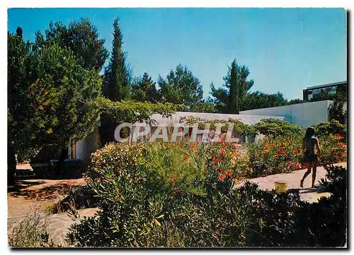 Cartes postales moderne Village Vacances Familles Vue du Parc Le Pradet
