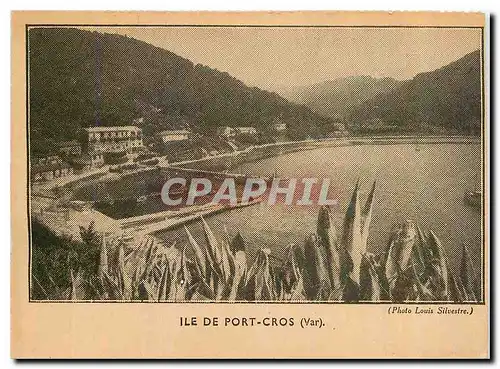 Cartes postales moderne Ile de Port Cros Var