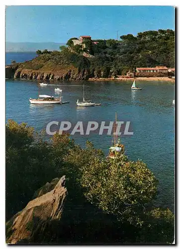 Cartes postales moderne Ile de Port Cros Le fort du Moulin