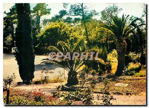 Cartes postales moderne Les Messugues St Raphael Centre de Vacances Le Creusot Le Parc