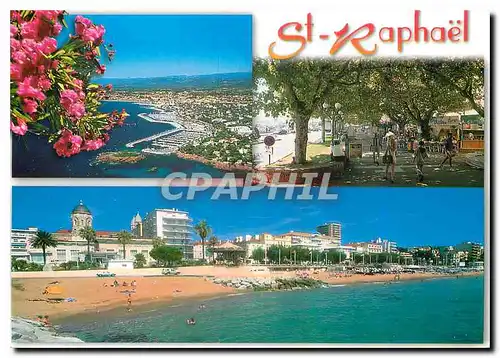 Cartes postales moderne Les sites de la Cote Varoise Saint Raphael