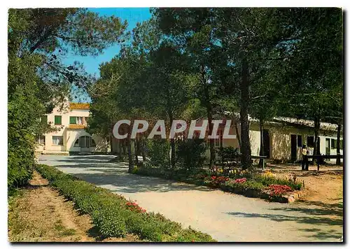 Cartes postales moderne La Cote d'Azur Prexotel Les Auberges au Soleil Bouloris Saint Raphael l'allee centrale