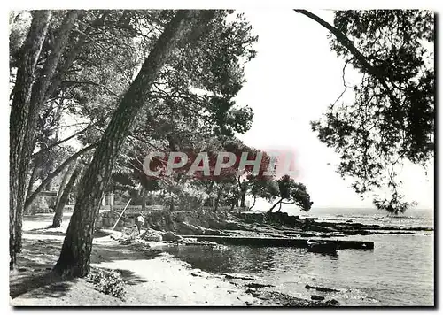 Cartes postales moderne La Cote d'Azur Bouleuris Var Bord de mer