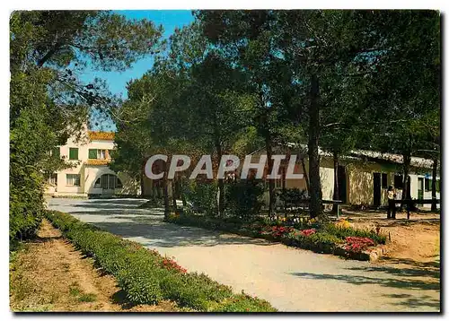 Cartes postales moderne La Cote d'Azur Prexotel Les Auberges au soleil Boulouris Saint Raphael l'allee centrale