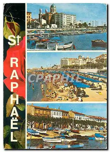 Cartes postales moderne Souvenir de Saint Raphael