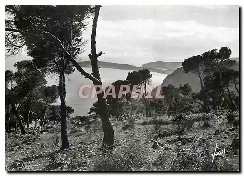 Cartes postales moderne Cote d'Azur Le Cap Ferrat