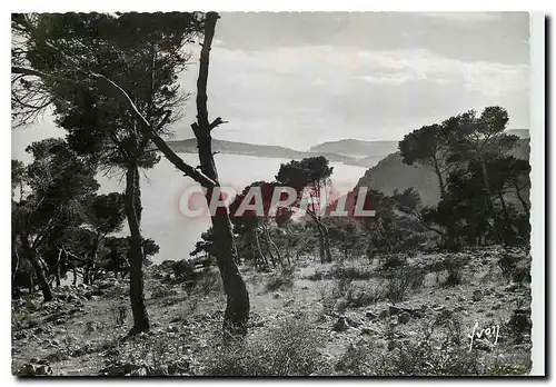 Cartes postales moderne Cote d'Azur Le Cap Ferrat