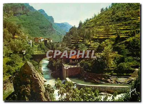 Cartes postales moderne Couleurs et Lumiere de France La Cote d'Azur miracle de la nature Saint Martin Vesubie A M Gorge