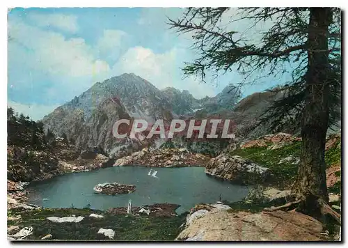 Cartes postales moderne St Martin Vesubie A M Le lac de Tre Couulpas le fond le Pelago