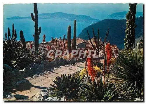 Cartes postales moderne Reflets de la Cote d'Azur Saint Jean Ferrat etle Cap de Nice vue du Jardin exotique d'Eze