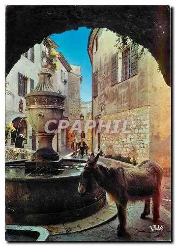 Cartes postales moderne La Cote d'Azur Saint Paul de Vence Halte a la Fontaine Ane Mule