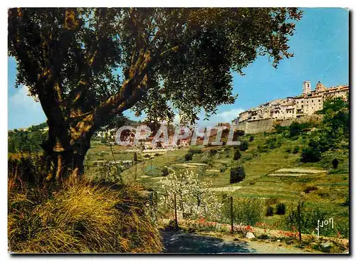 Cartes postales moderne Couleurs et Lumiere de France La Cote d'Azur miracle de la nature Saint Paul Alpes Maritimes Vue