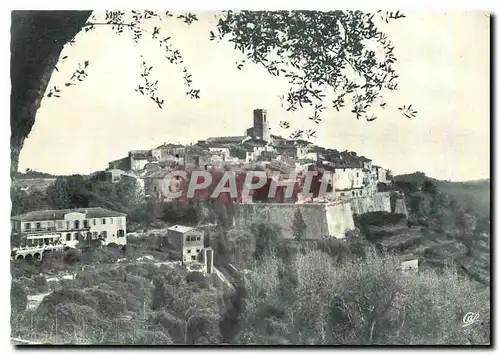 Cartes postales moderne St Paul de Vence Vue a travers les Oliviers