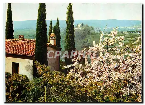 Cartes postales moderne Couleurs et Lumiere de France La Cote d'Azur miracle de la nature Paysage provencal aux abords d