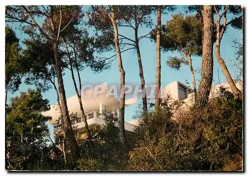 Cartes postales moderne Fondation M et A Maeght St Paul A M France