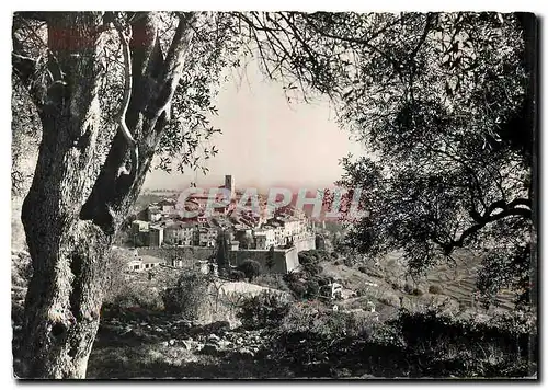 Cartes postales moderne Saint Paul de Vence Vue a travers les oliviers