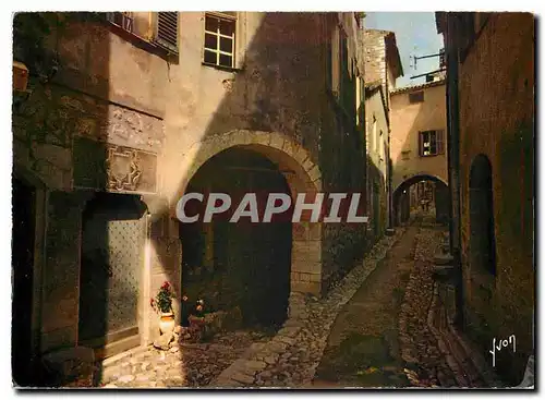 Cartes postales moderne Couleurs et Lumiere de France La Cote d'Azur miracle de la nature Saint Paul Alpes Maritimes Vie