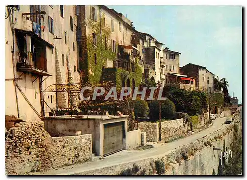 Cartes postales moderne Couleurs et Lumiere de France La Cote d'Azur miracle de la nature Saint Paul Alpes Maritimes Vie