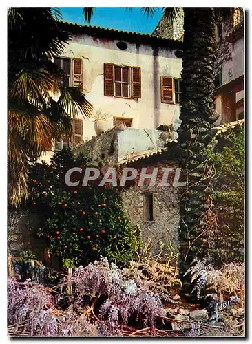 Cartes postales moderne Couleurs et Lumiere de France La Cote d'Azur miracle de la nature Un coin pittoresque du vieux S