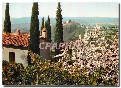 Cartes postales moderne Couleurs et Lumiere de France La Cote d'Azur miracle de la nature Paysage provencal aux abords d