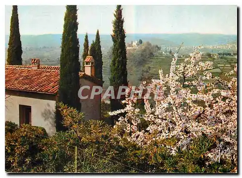 Cartes postales moderne Couleurs et Lumiere de France La Cote d'Azur miracle de la nature Paysage provencal aux abords d