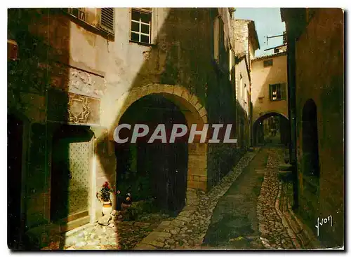 Cartes postales moderne Couleurs et Lumiere de France La Cote d'Azur miracle de la nature Saint Paul Alpes Maritimes Vie