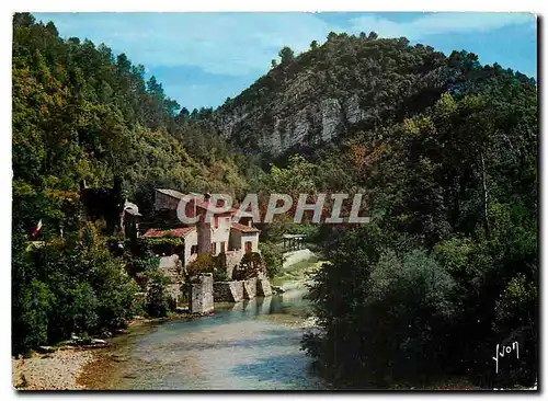 Cartes postales moderne Couleurs et Lumiere de France La Cote d'Azur miracle de la nature La Colle sur Loup environs de