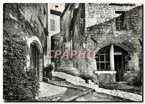 Cartes postales moderne La Cote d'Azur Saint Paul A M La Montee de l'Eglise