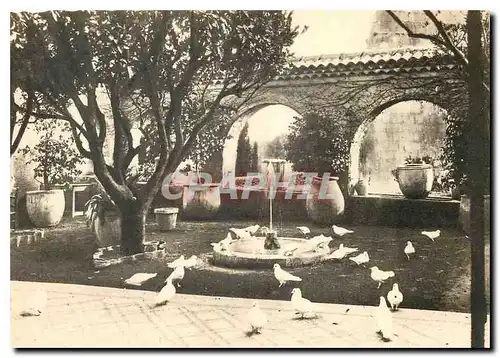 Cartes postales moderne Saint Paul Les Colombes et un coin des jardins de la Colombe d'Or