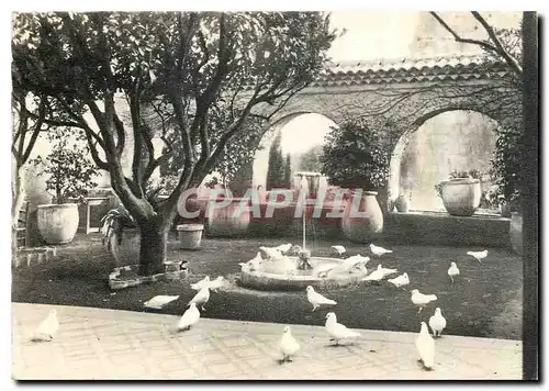 Cartes postales moderne Saint Paul Les Colombes et un coin des jardins de la Colombe d'Or