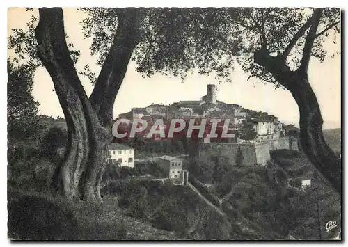 Cartes postales moderne St Paul de Vence Vue a travers les Oliviers