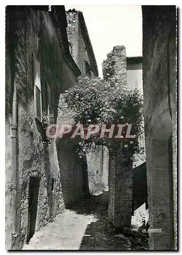 Cartes postales Saint Paul de Vence Alpes Maritimes Vieille rue Fleurie